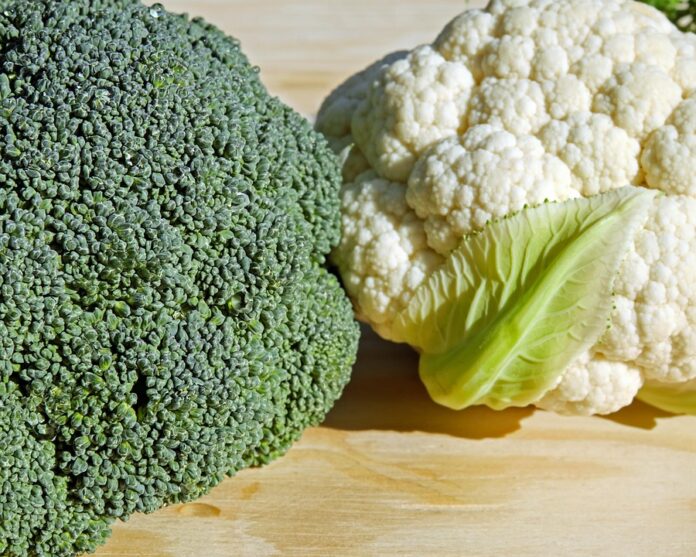 The top 10 largest cauliflower exporters by trade volume