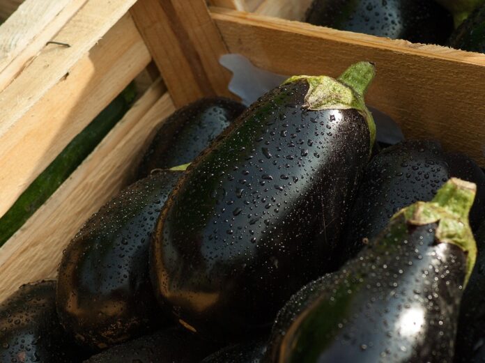 The top 10 largest eggplant exporters by trade volume