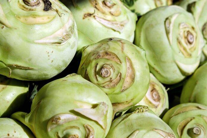 The top 10 leading countries in cabbage supply chain exports