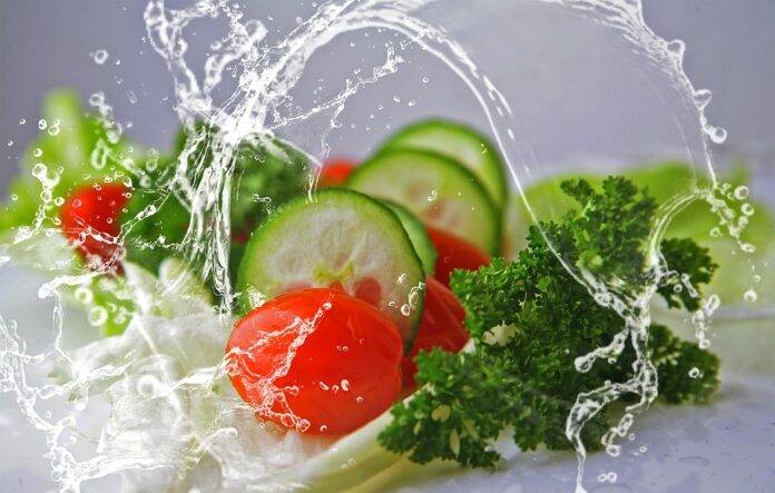 The top 10 lettuce importing companies in Singapore