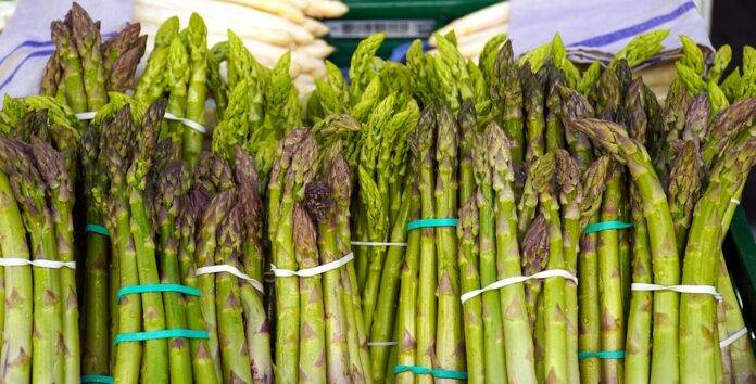 The top 10 major destinations for global asparagus exports