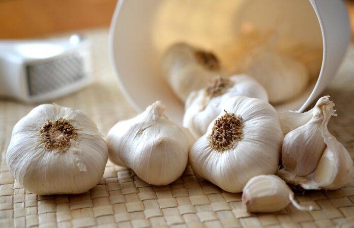 The top 10 major destinations for global garlic exports