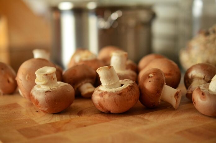 The top 10 mushroom exporting countries by revenue