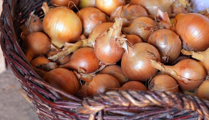 The top 10 onion brands and processors in China