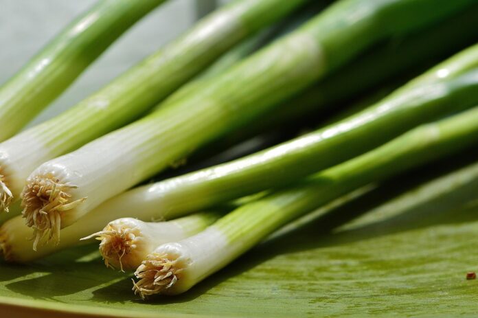 The top 10 onion exporters from the United States