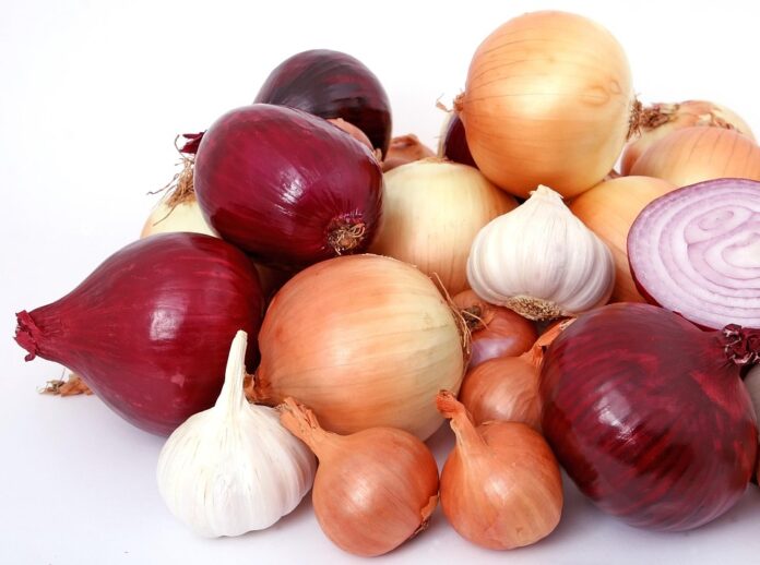 The top 10 onion exporting countries globally