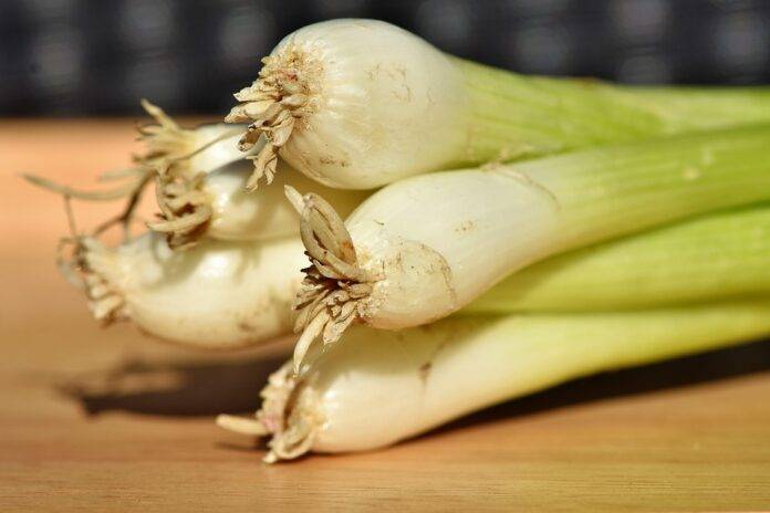 The top 10 onion importers for retail and foodservice in Brazil