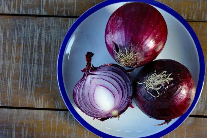 The top 10 onion importing companies in the United States