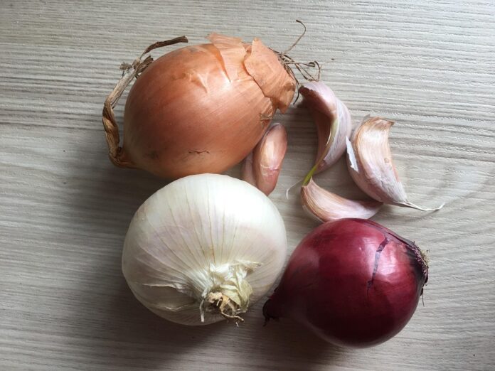 The top 10 onion producing companies in Poland
