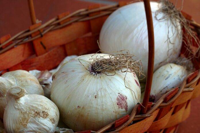 The top 10 onion wholesalers and distributors in Canada