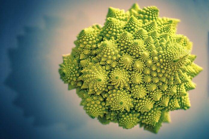 The top 10 organic cauliflower brands worldwide