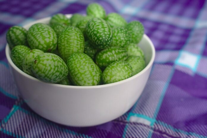 The top 10 organic gherkin brands globally