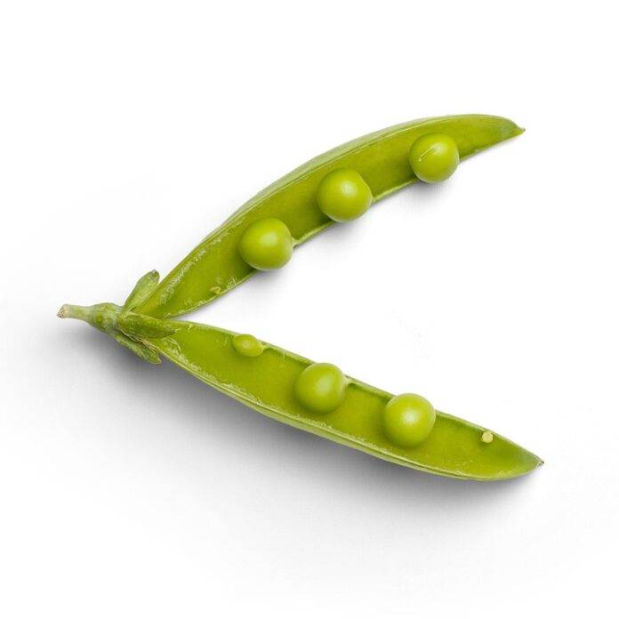 The top 10 pea importing companies in Germany