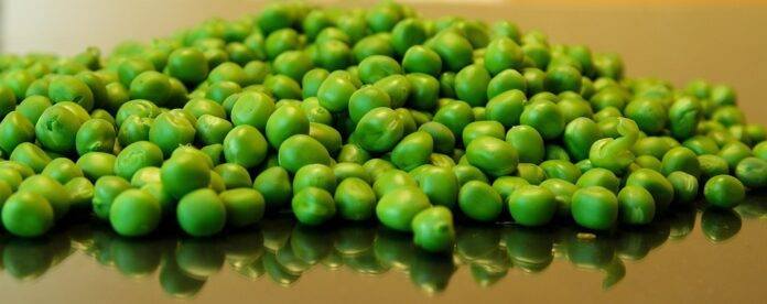 The top 10 pea importing companies in Malaysia