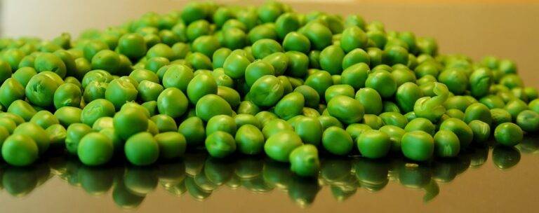 The top 10 pea importing companies in Malaysia The top 10 pea importing companies in Malaysia