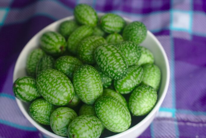 The top 10 pickled gherkin brands in retail stores