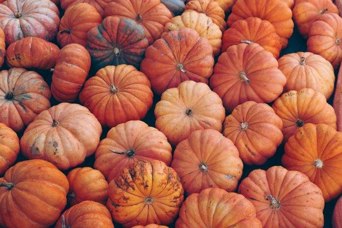 The top 10 pumpkin exporting countries in Asia