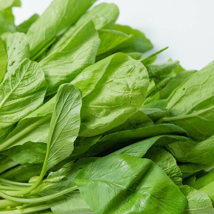 The top 10 spinach importing companies in Germany