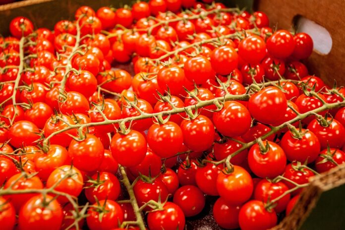 The top 10 tomato brands and processors in Egypt