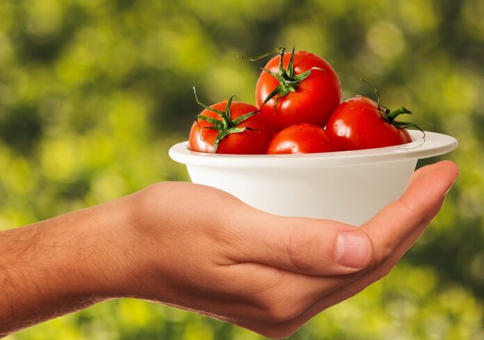 The top 10 tomato exporters from Turkey