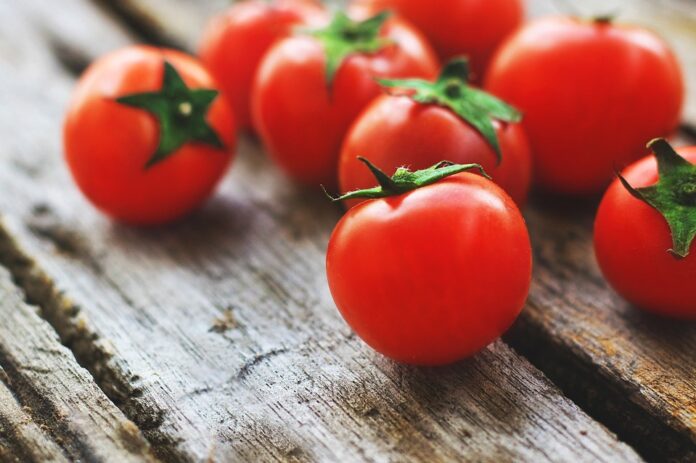 The top 10 tomato exporting countries globally