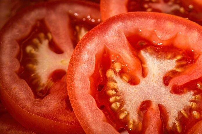 The top 10 tomato importing companies in Germany