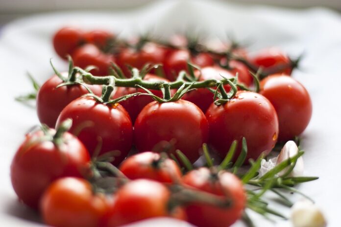 The top 10 tomato producing companies in Egypt