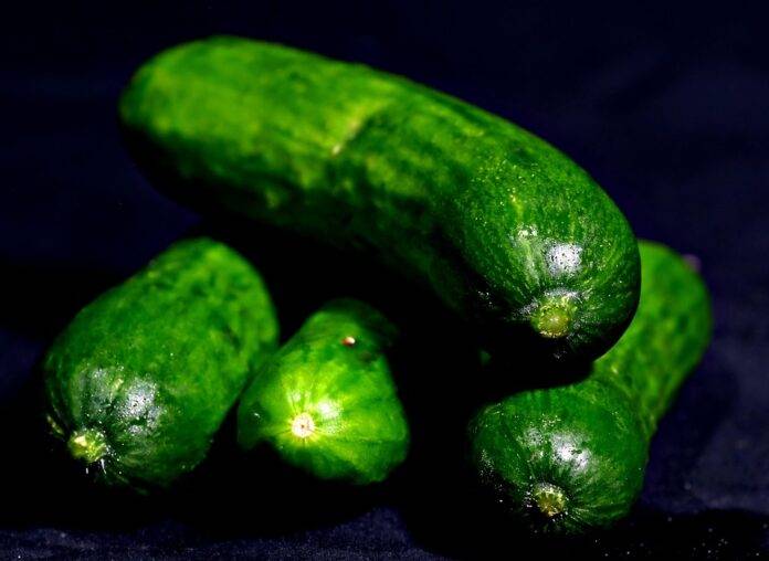 The top 10 trends shaping cucumber imports in 2025