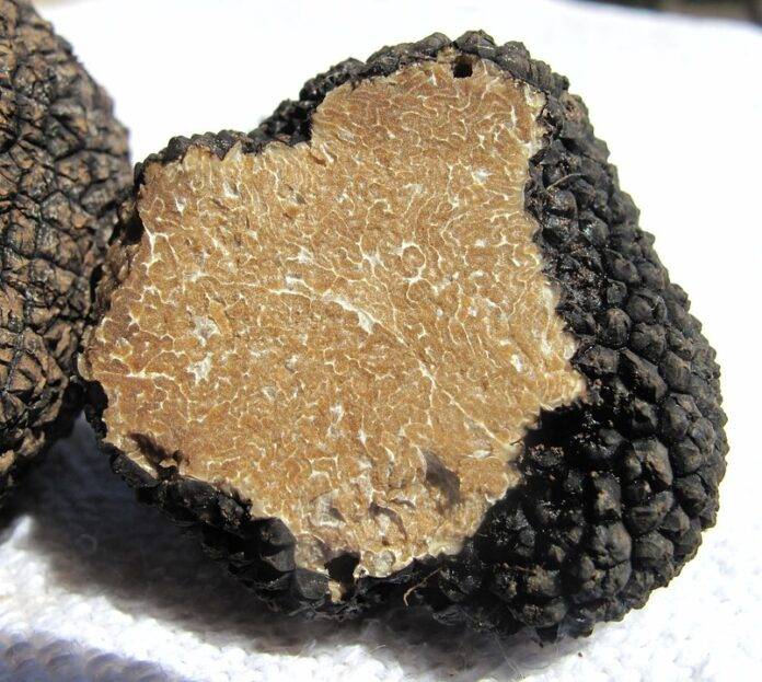 The top 10 truffle importing countries in Asia