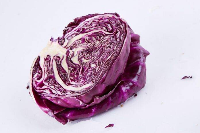 The top 10 value added cabbage brands worldwide