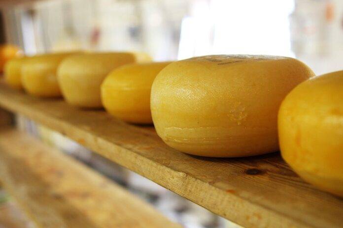 Top 10 Dairy Import Companies in Indonesia Supplying Foodservice Channels