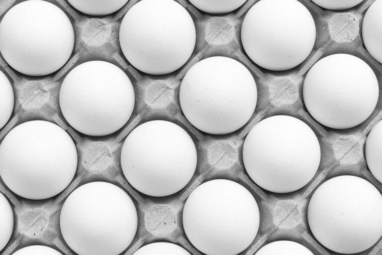 Top 10 Egg Brands in India Trusted by Millions Top 10 Egg Brands in India Trusted by Millions