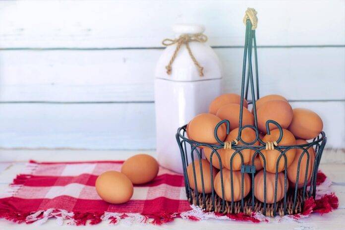 Top 10 Egg Brands in Japan Known for Quality and Packaging Innovation