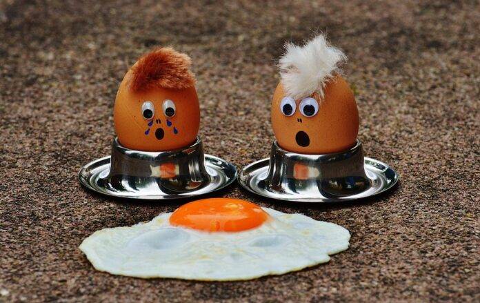 Top 10 Egg Export Companies in Russia Meeting Regional Needs
