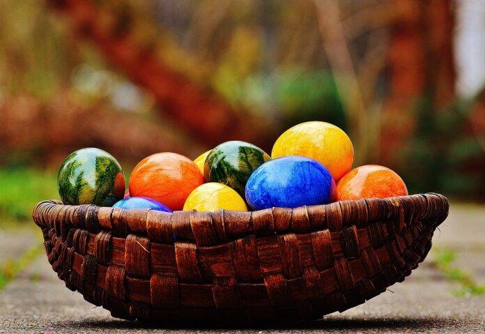 Top 10 Egg Import Companies in Canada Meeting Supply Chain Gaps