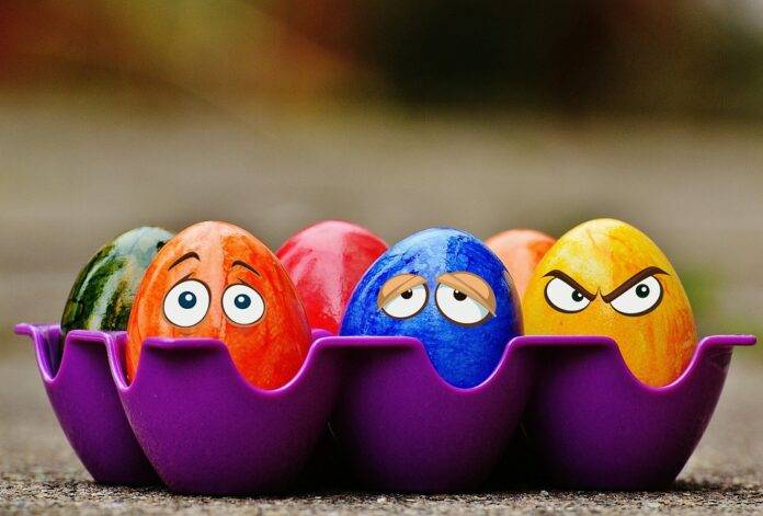 Top 10 Egg Import Companies in Singapore Importing High-Quality Shell Eggs