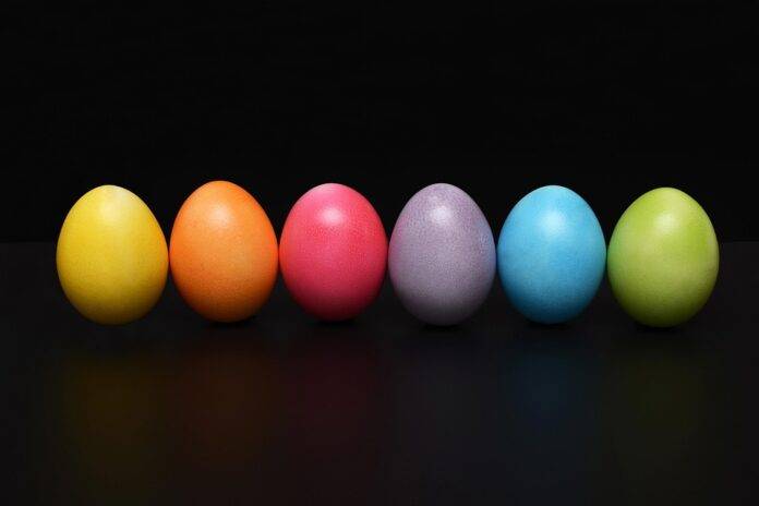 Top 10 Egg Importing Countries by Volume and Value in 2025