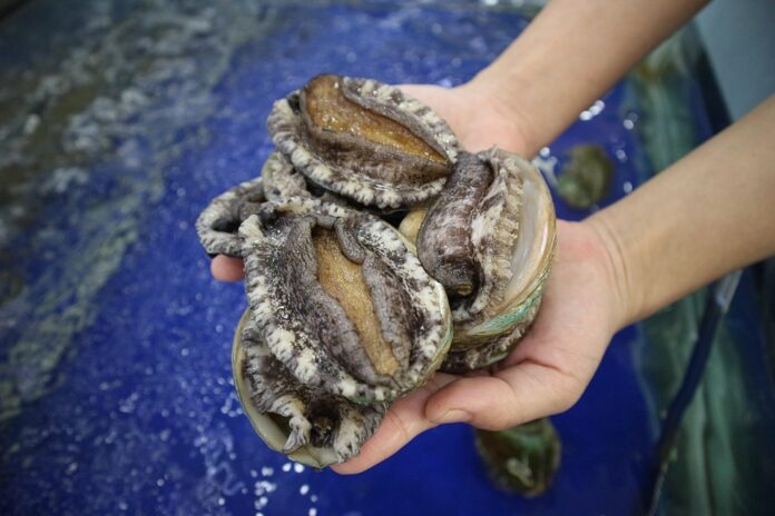 Top 10 abalone import companies in Hong Kong
