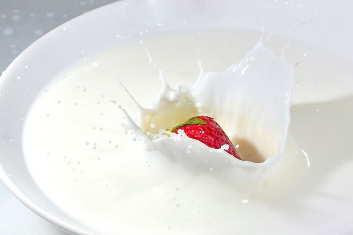 Top 10 almond milk import companies in Japan