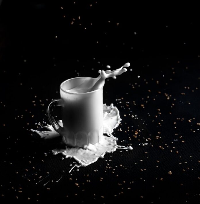 Top 10 almond milk import companies in Singapore