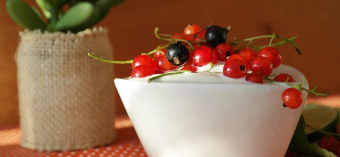 Top 10 almond yogurt export companies in India