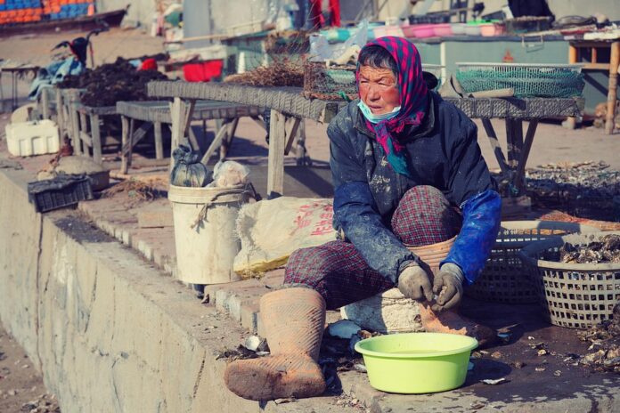 Top 10 aquaculture export companies in China