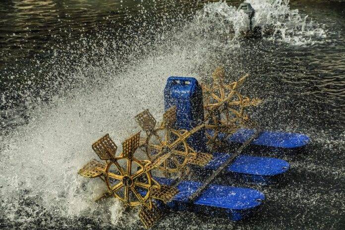 Top 10 aquaculture export companies in Egypt