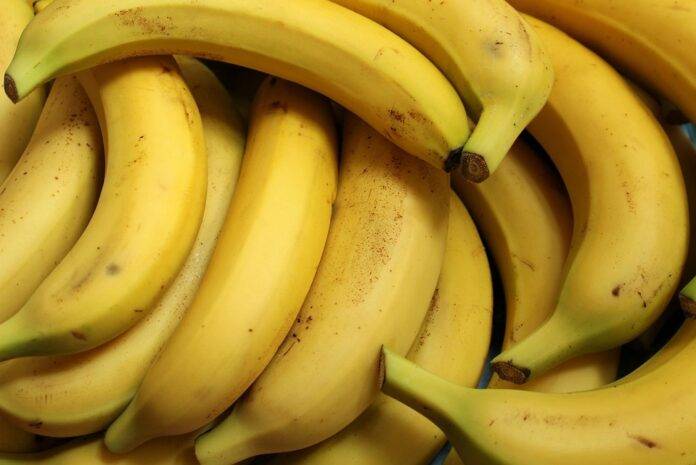 Top 10 banana brands in Costa Rica present in organic and fair trade labels