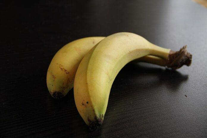 Top 10 banana import companies in Germany distributing across central Europe