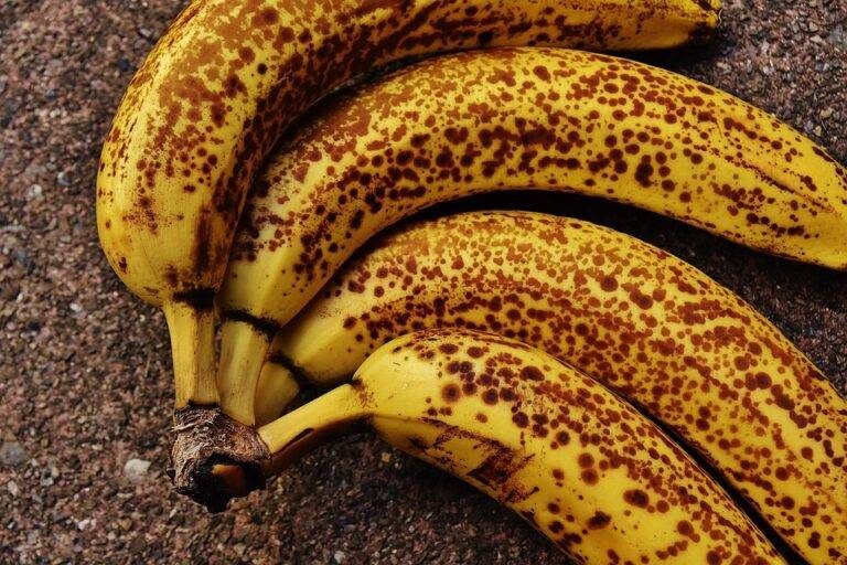 Top 10 banana import companies in the Netherlands handling bulk and ripening Top 10 banana import companies in the Netherlands handling bulk and ripening