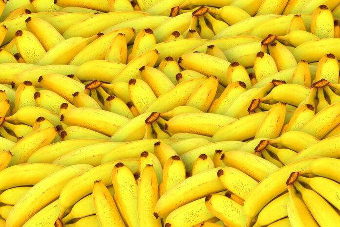 Top 10 banana producing countries in the world in 2025