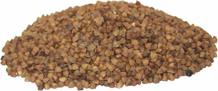Top 10 buckwheat importing countries in the world in 2025