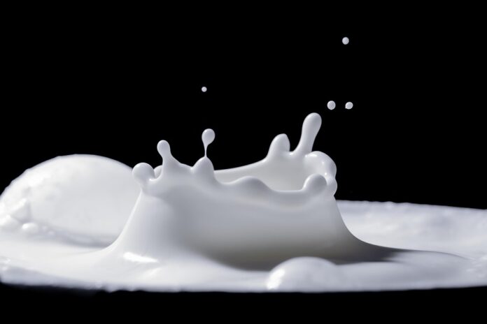 Top 10 camel milk import companies in the United States