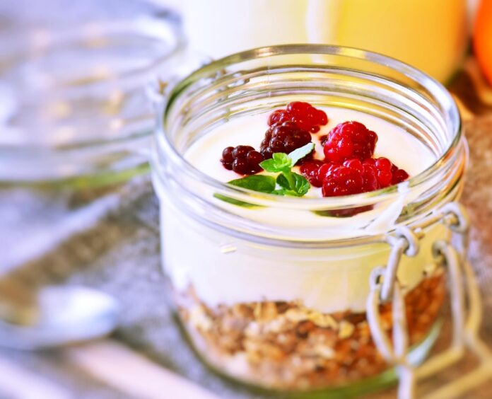 Top 10 camel milk yogurt export companies in Ethiopia